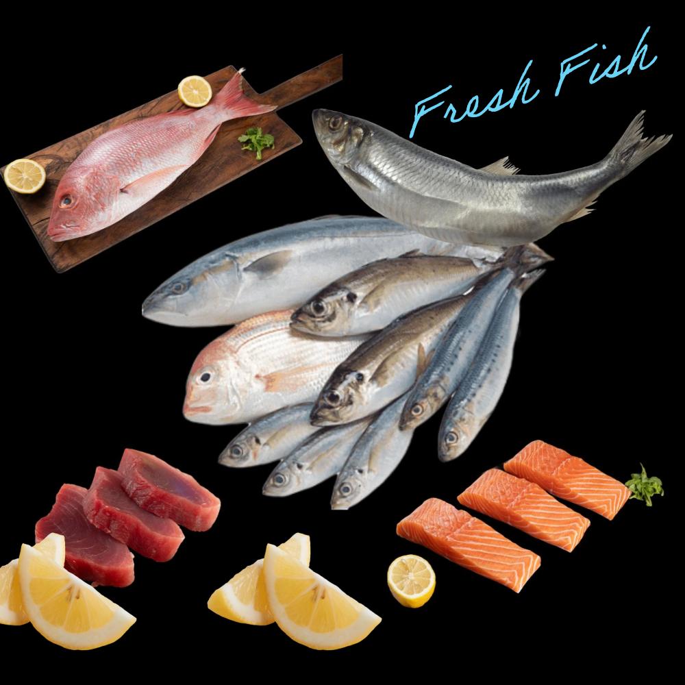 Fresh fish miami beach sushi grade salmon tuna miami fresh fish market seafood