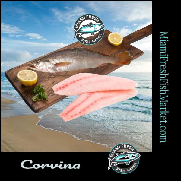 Corvina Fresh Fish | Fillet Per Pound