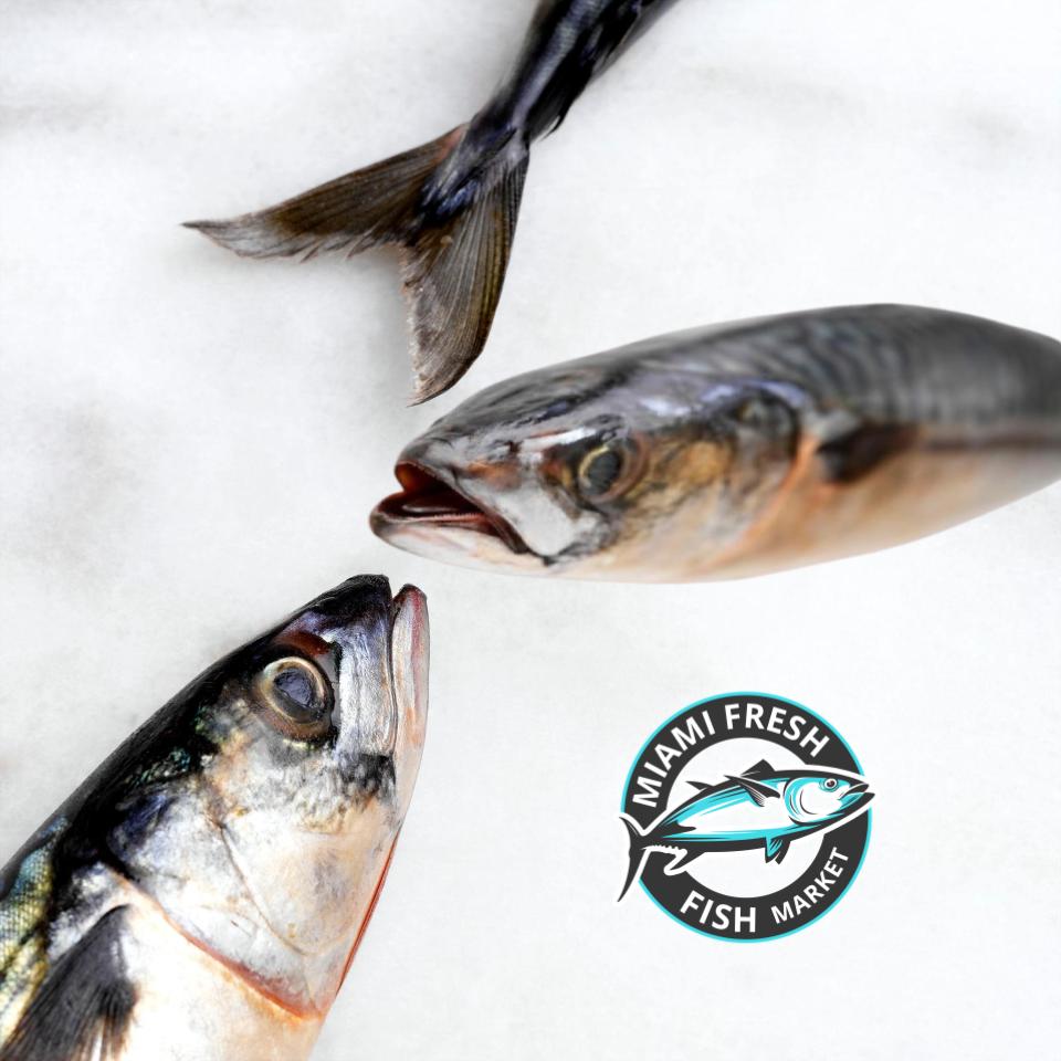 Yellowfin Tuna | Sushi Grade | Fillet Per Pound