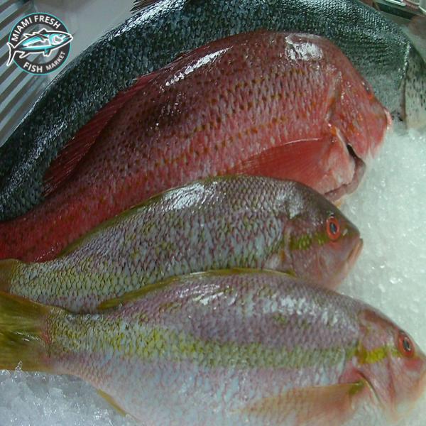 Yellowtail Snapper | Whole Fish or Fillet | Per Pound