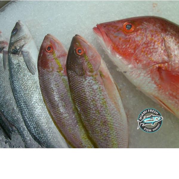 Halibut Wild Fresh Fish | Fillet Per Pound