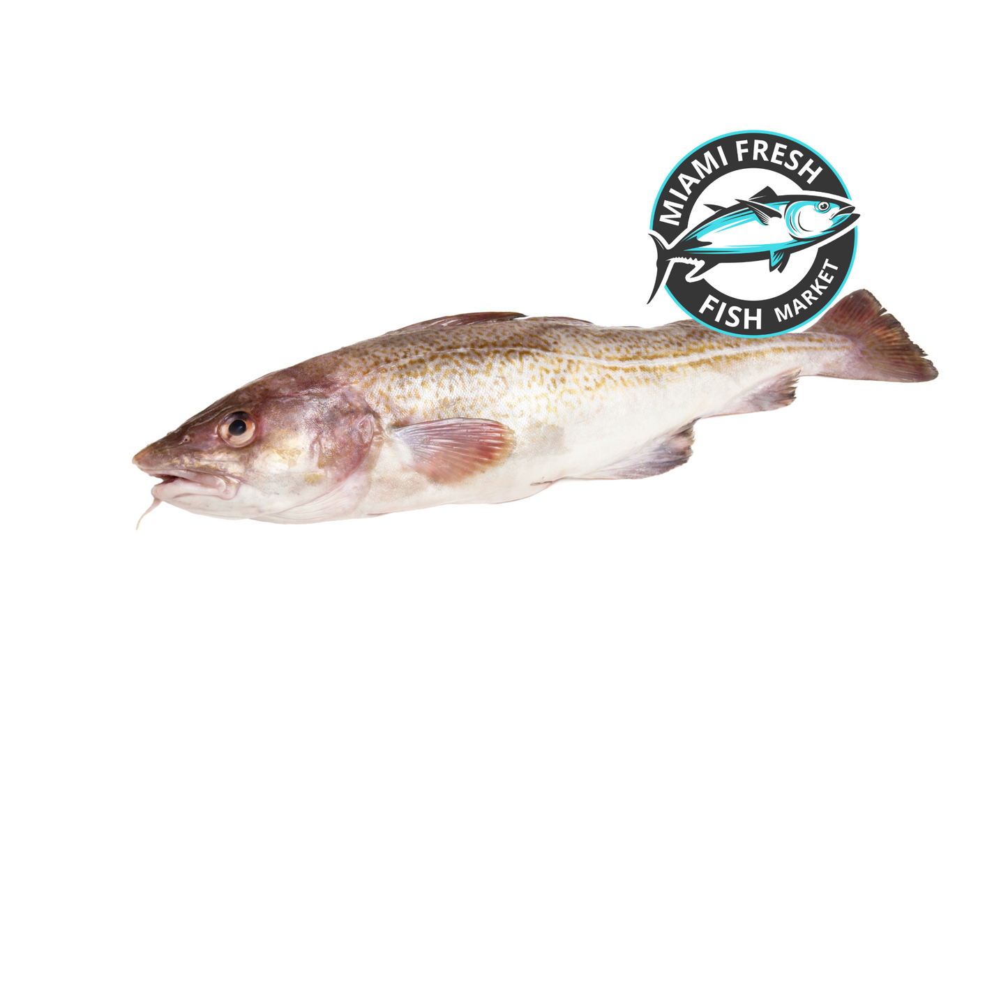 Black Cod Wild Fresh Fish | Fillet Per Pound