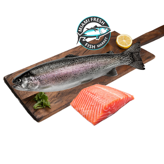 Salmon Caught | Sushi Grade
