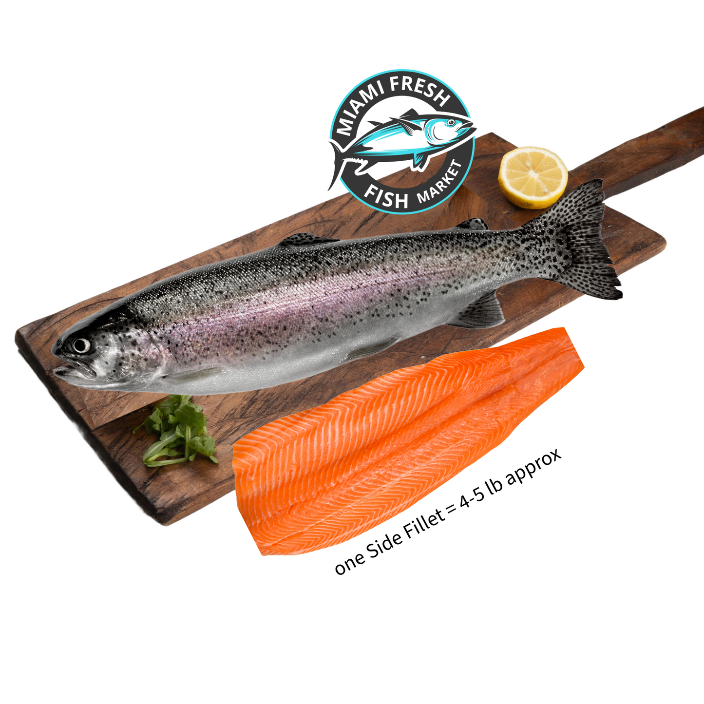 Salmon Caught | Sushi Grade