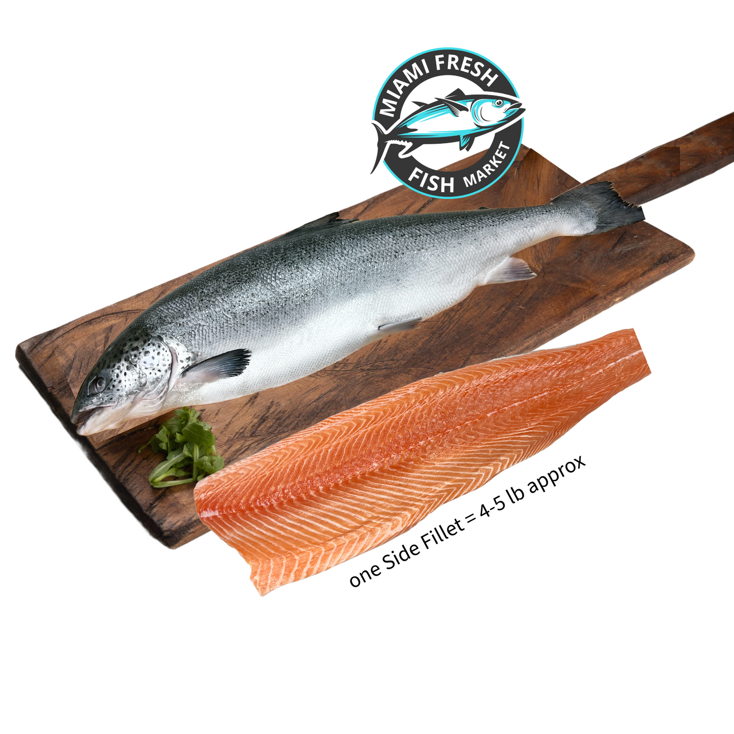 Salmon Caught | Sushi Grade
