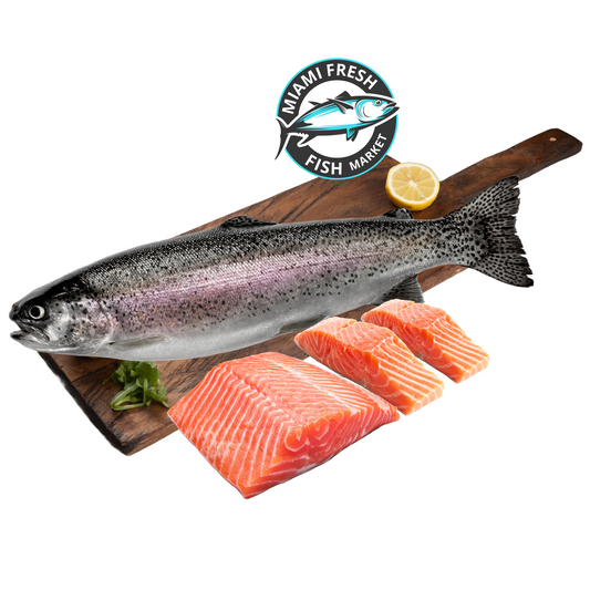 Salmon Caught | Sushi Grade Wild
