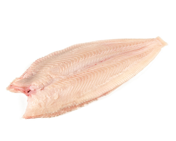 Dover-Sole-Fresh-Fish-Fillet