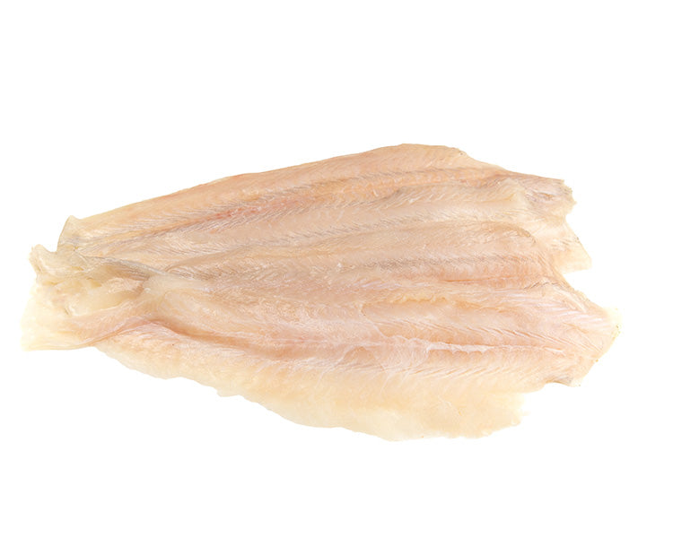 Flounder-Fish-fillet-miami-fresh-fish-market