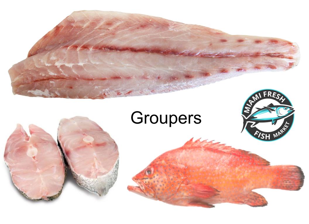 Red/Black Grouper | Fresh Fish | Whole or Fillet | Per Pound