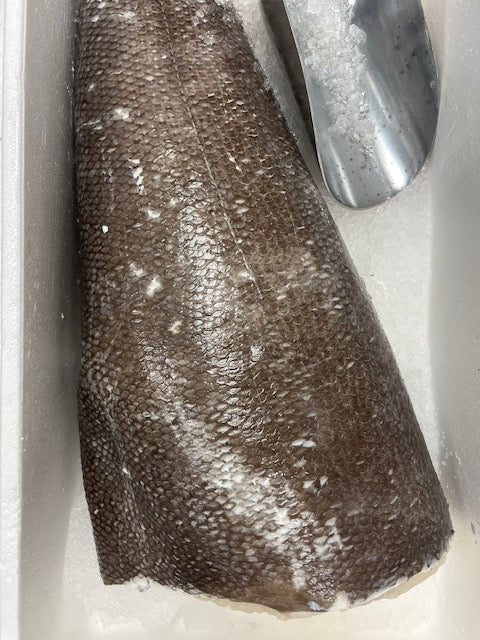 whole=seabass-fish