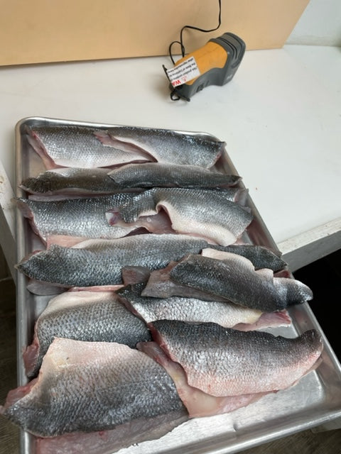 multi-branzino-fish-fillet
