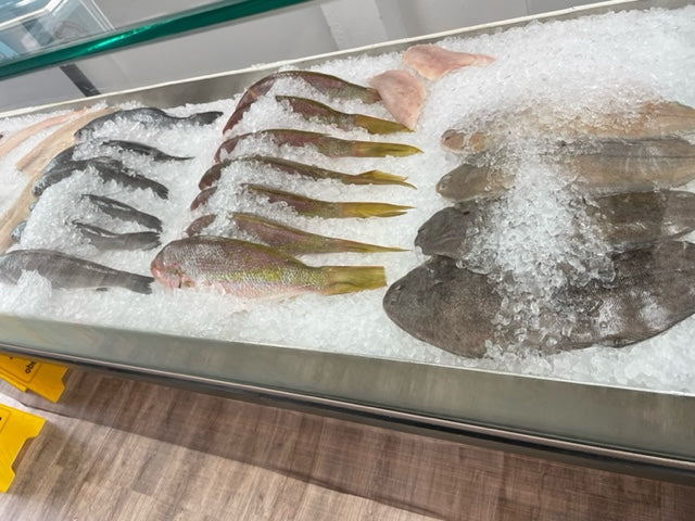 dispaly-of-fish-on-ice-kosher-fish-store