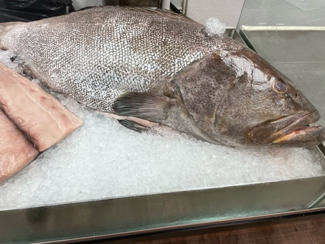 Red/Black Grouper | Fresh Fish | Whole or Fillet | Per Pound