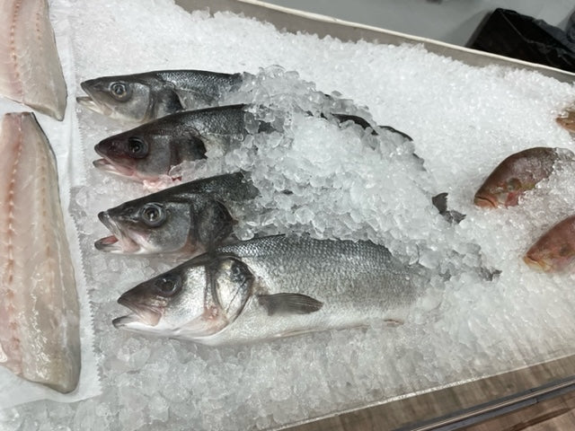 Branzino Mediterranean | Fresh Fish | Fillet or  Whole Per Pound