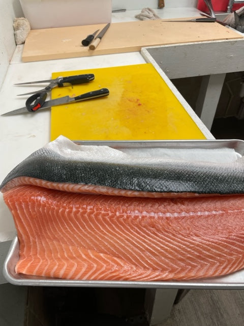 Salmon Caught | Sushi Grade