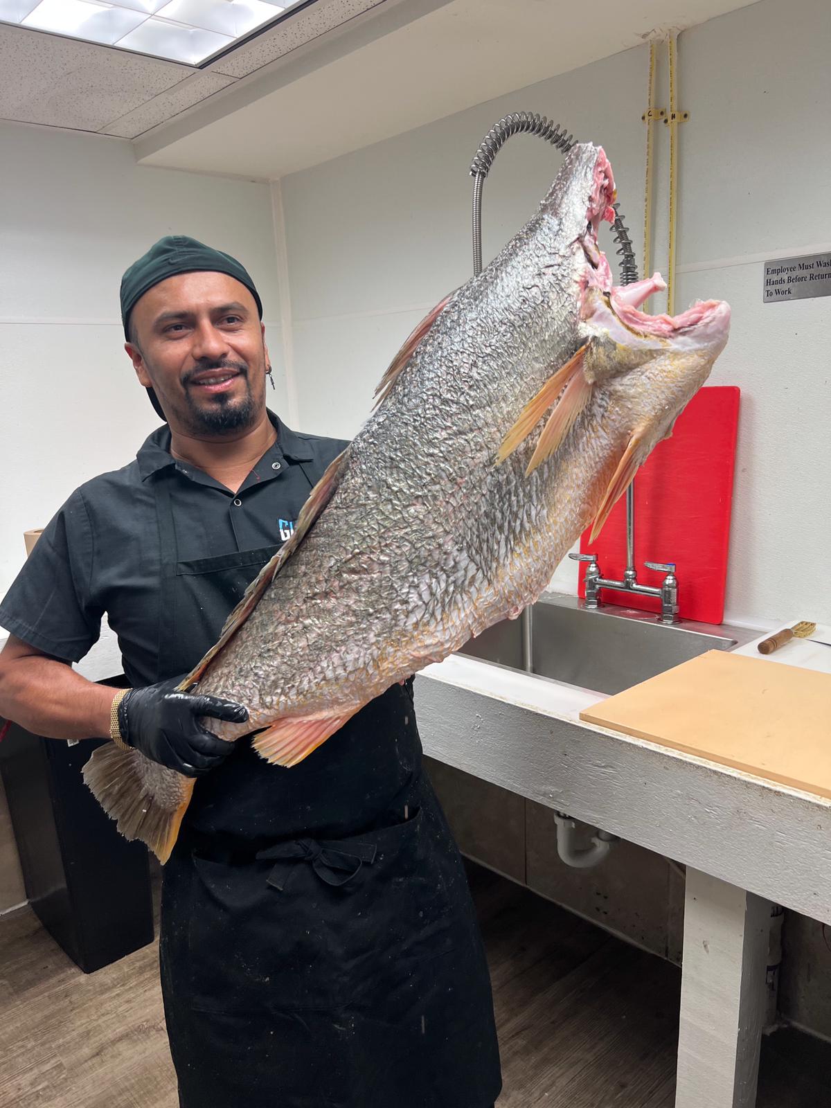 whole-corvina-fish-by-miami-fresh-fish-market-stuff