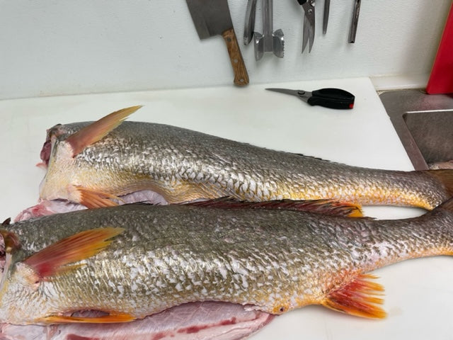 preparing-corvina-fish
