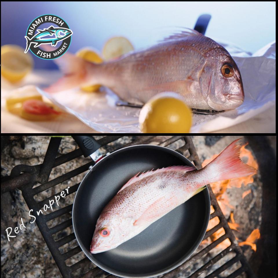 Red Snapper Wild | Whole or Fillet  Per Pound