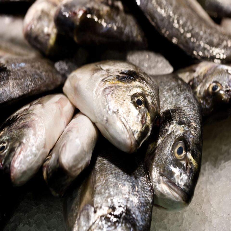Red Snapper Wild | Whole or Fillet  Per Pound