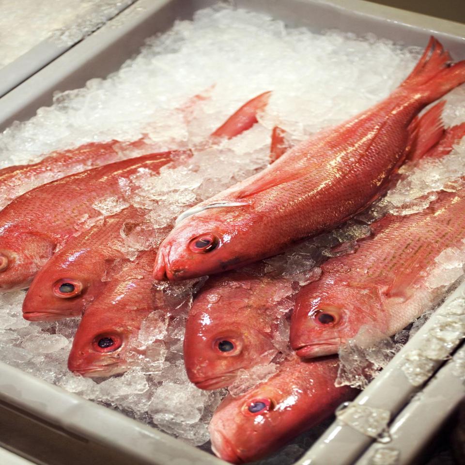 Red Snapper Wild | Whole or Fillet  Per Pound