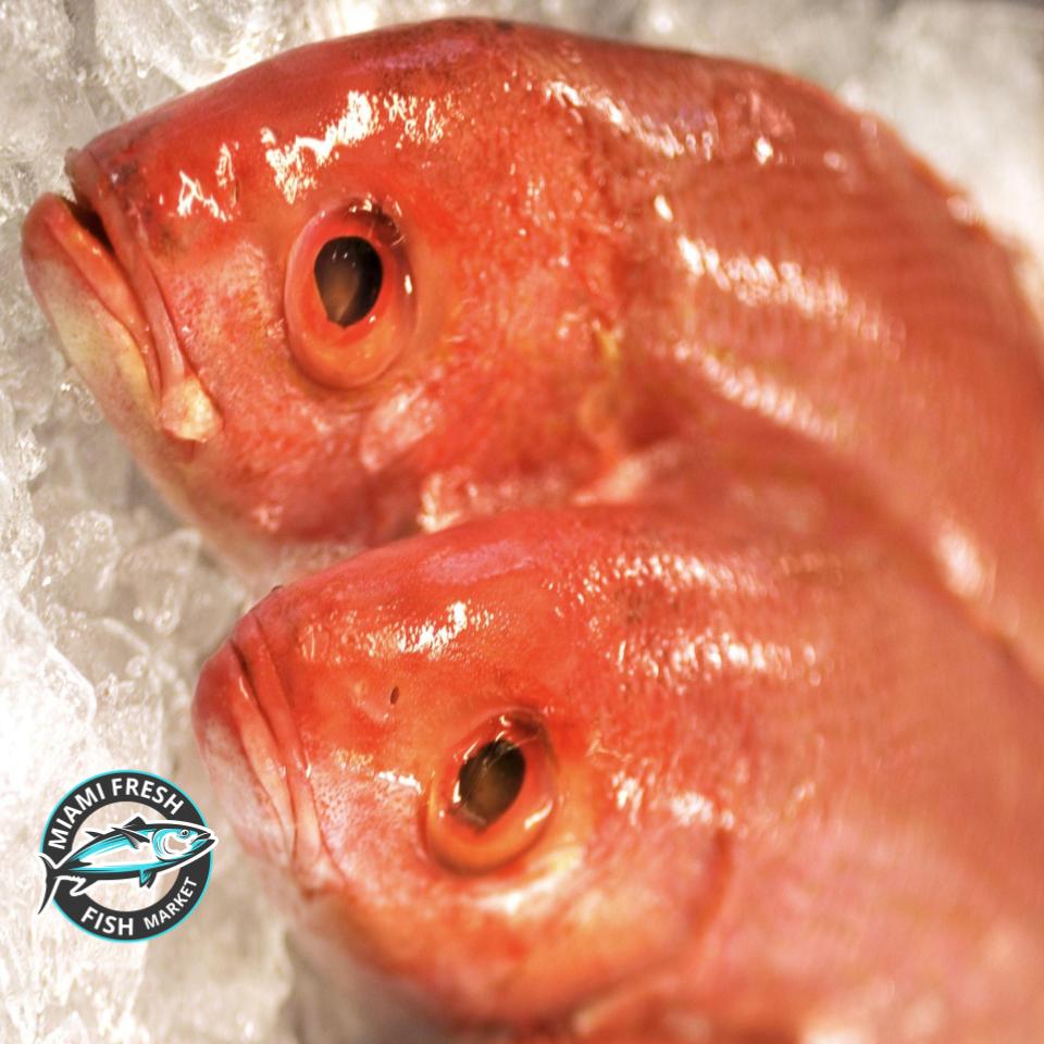 Sea Bream Mediterranean | Whole Fish or Fillet | Per Pound
