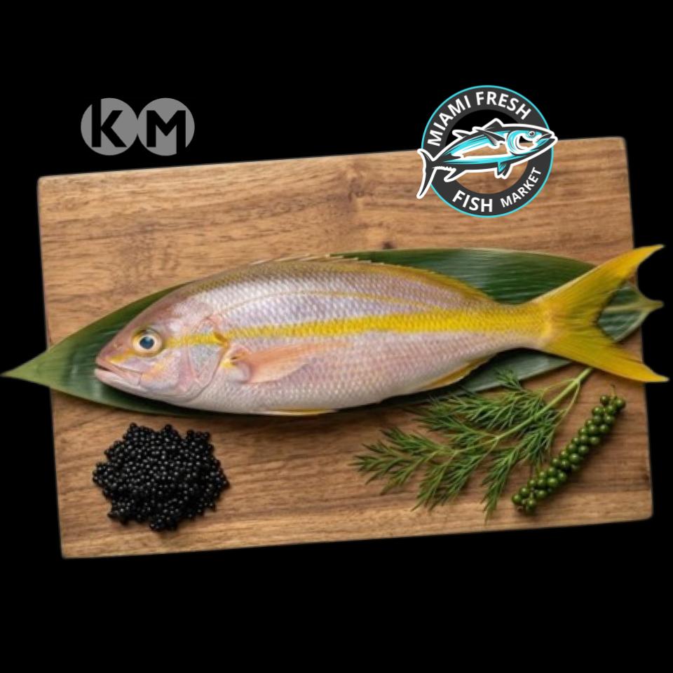 Yellowtail Snapper | Whole Fish or Fillet | Per Pound