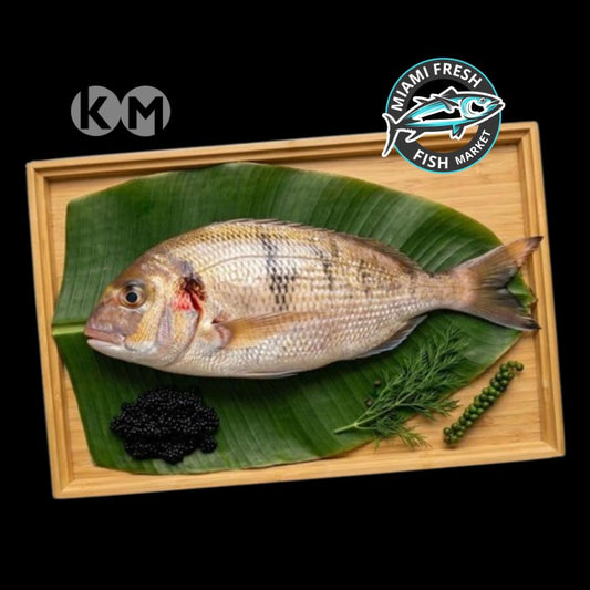 Sea Bream Mediterranean | Whole Fish or Fillet | Per Pound