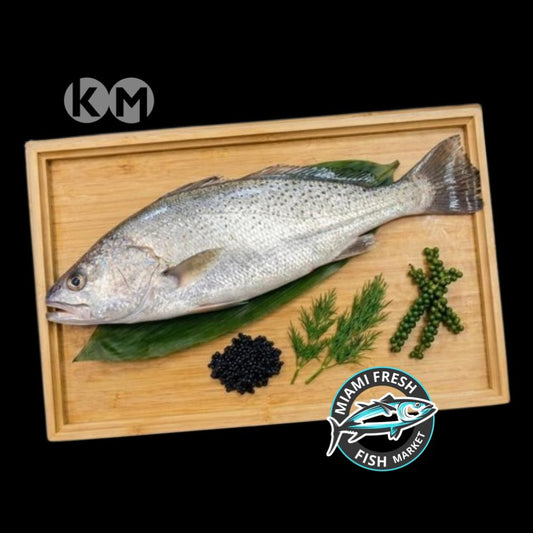 Corvina Fresh Fish | Fillet Per Pound
