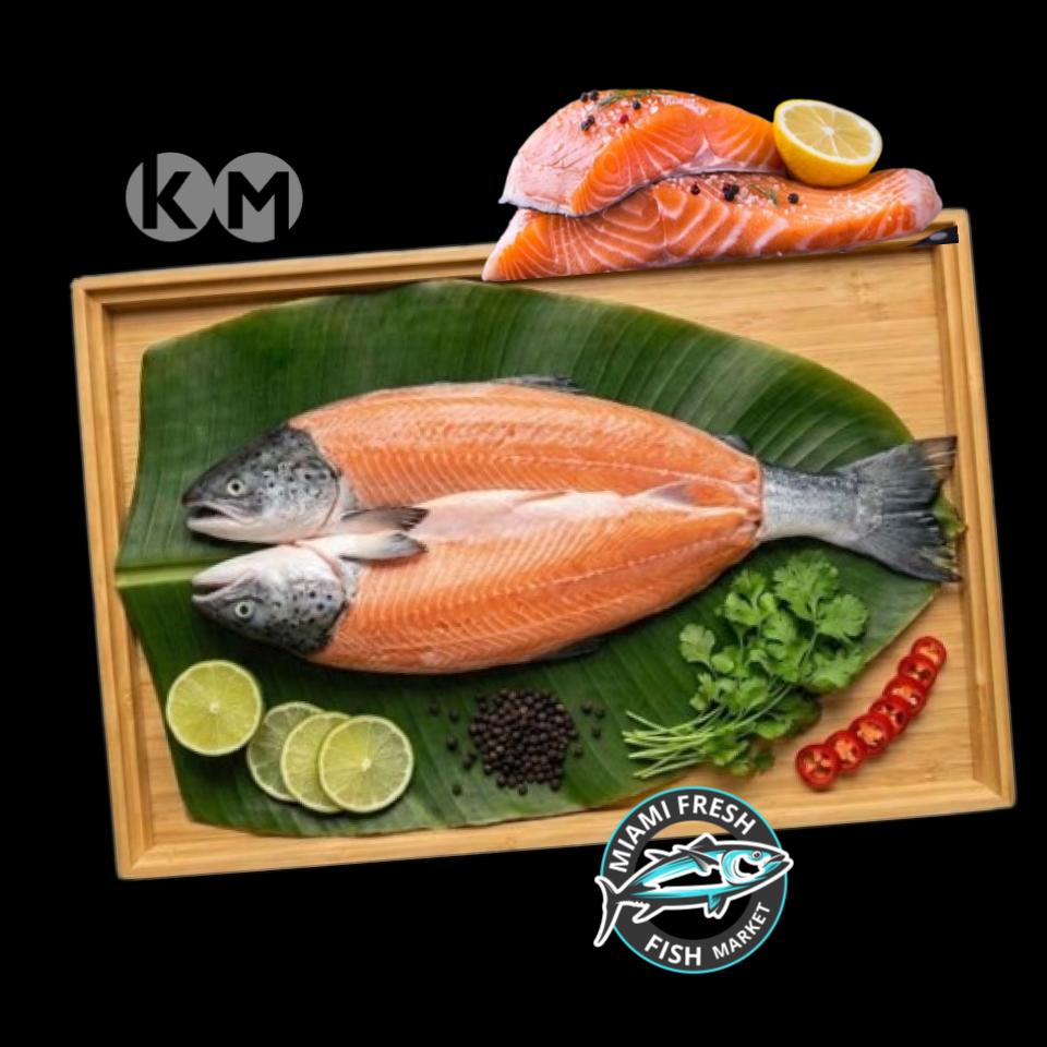 Salmon Caught | Sushi Grade