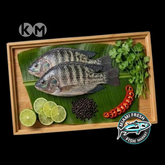 Tilapia Fish | Fillet Per Pound