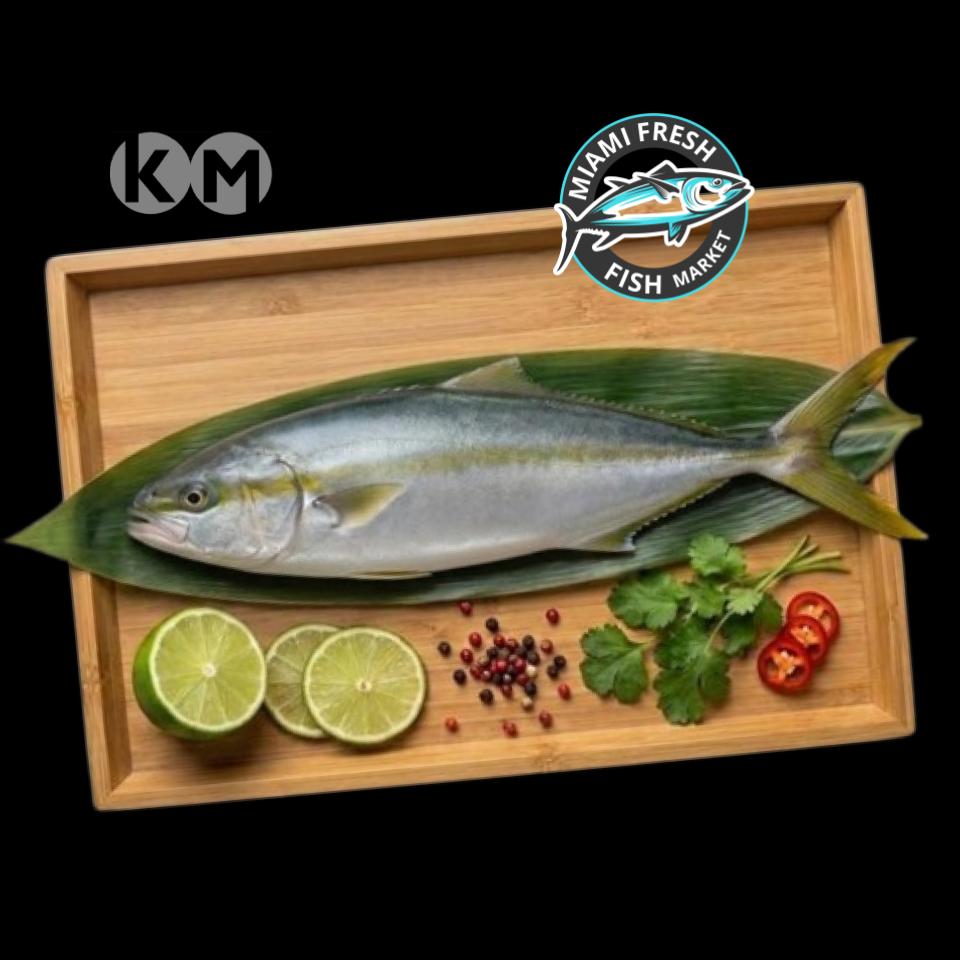 Hamachi Fresh Fish Sushi Grade or Fillet Per Pound