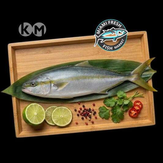 Hamachi Fresh Fish Sushi Grade or Fillet Per Pound
