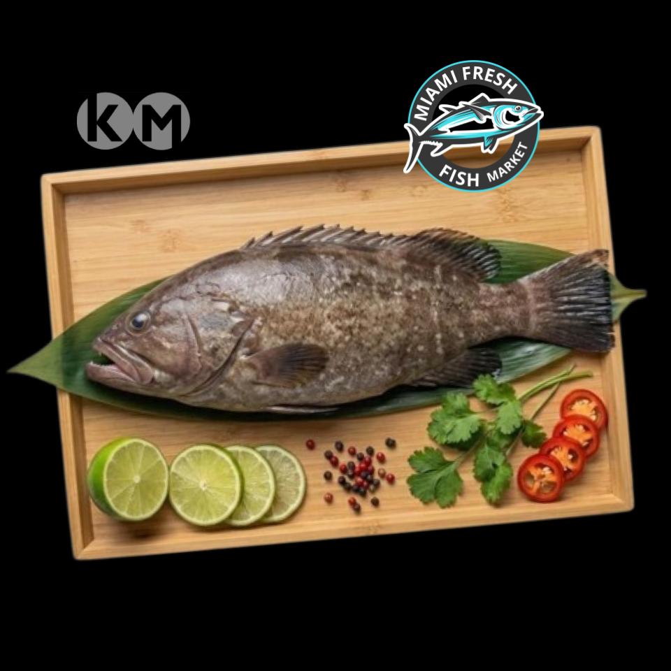 Red/Black Grouper | Fresh Fish | Whole or Fillet | Per Pound