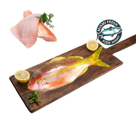 Yellowtail Snapper | Whole Fish or Fillet | Per Pound