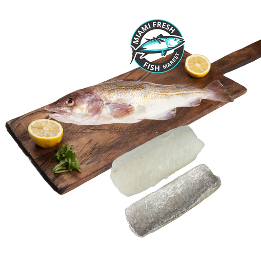 Black Cod Wild Fresh Fish | Fillet Per Pound