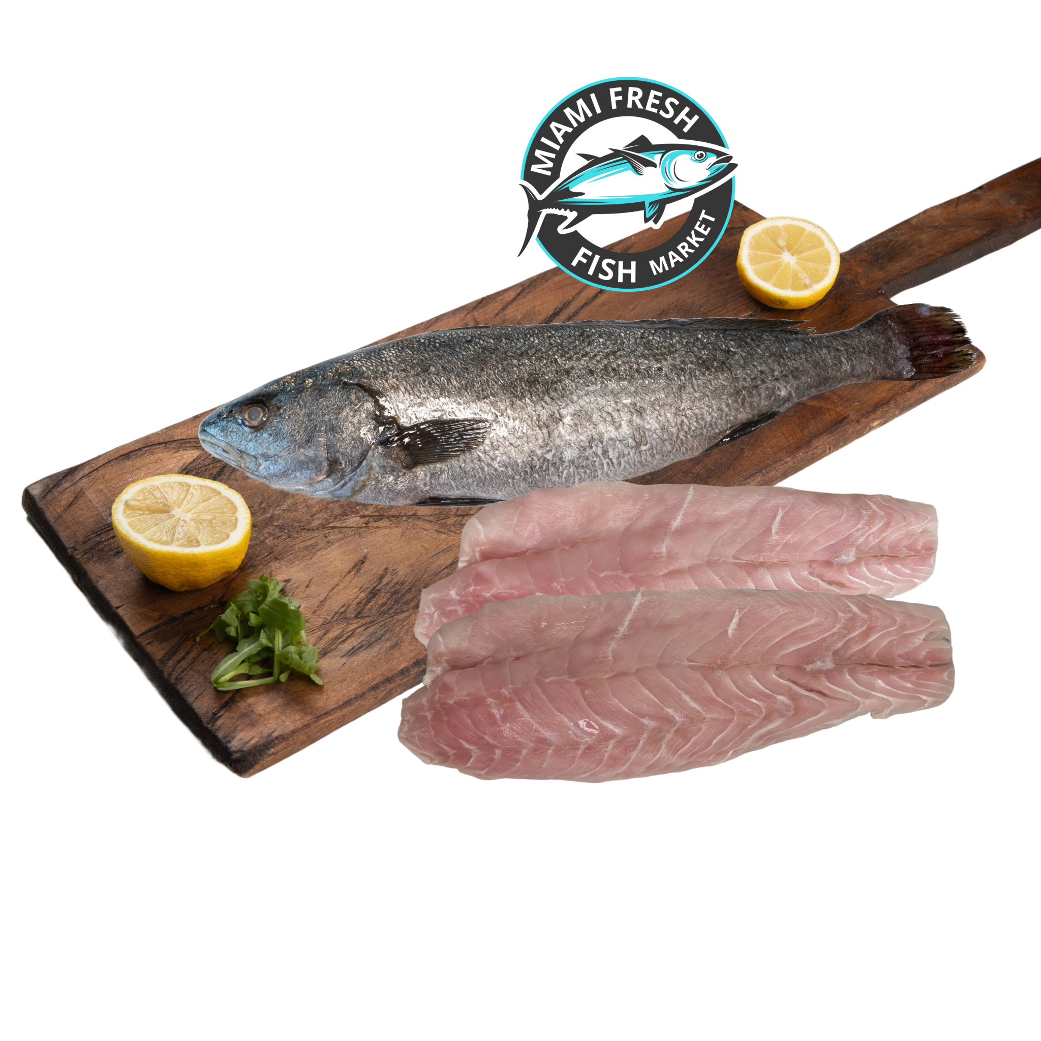 Corvine Fish Rounds Corvina Fresh Fish | Fillet Per Pound – miami-fresh-fish