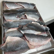 multi-seabream-fish-preparing-fillet
