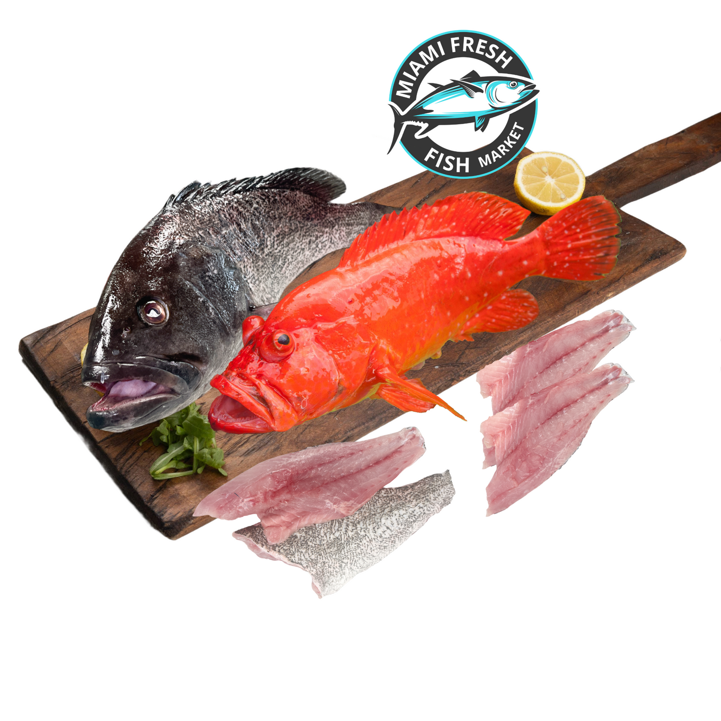 Red/Black Grouper | Fresh Fish | Whole or Fillet | Per Pound