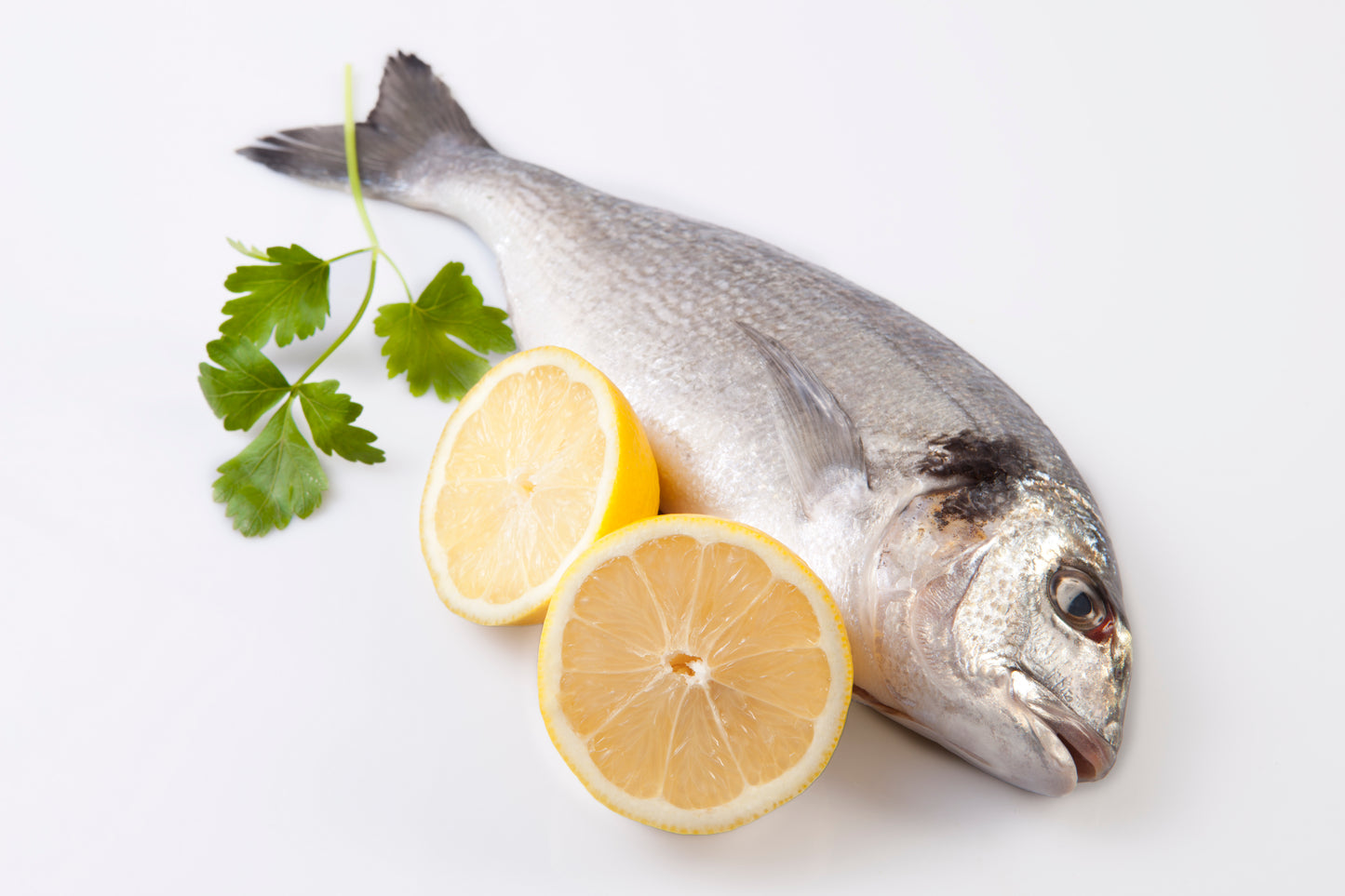 Sea Bream Mediterranean | Whole Fish or Fillet | Per Pound