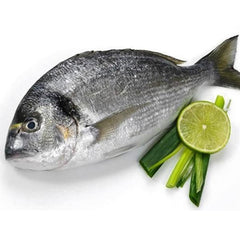 Sea Bream Mediterranean Fresh Fish Whole Per Pound | Fillet Avalibale