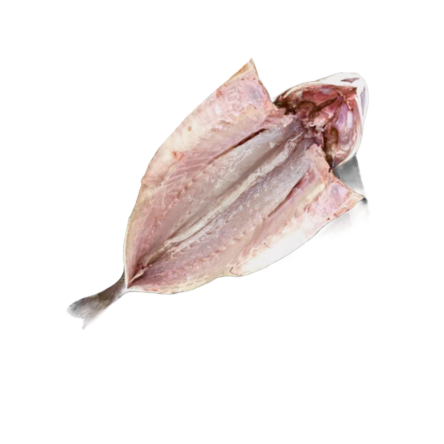Branzino Mediterranean Fresh Fish | Fillet or  Whole Per Pound
