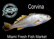 Corvina Fresh Fish | Fillet - Per Pound