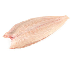 Dover Sole Fresh Whole Fish Per Pound