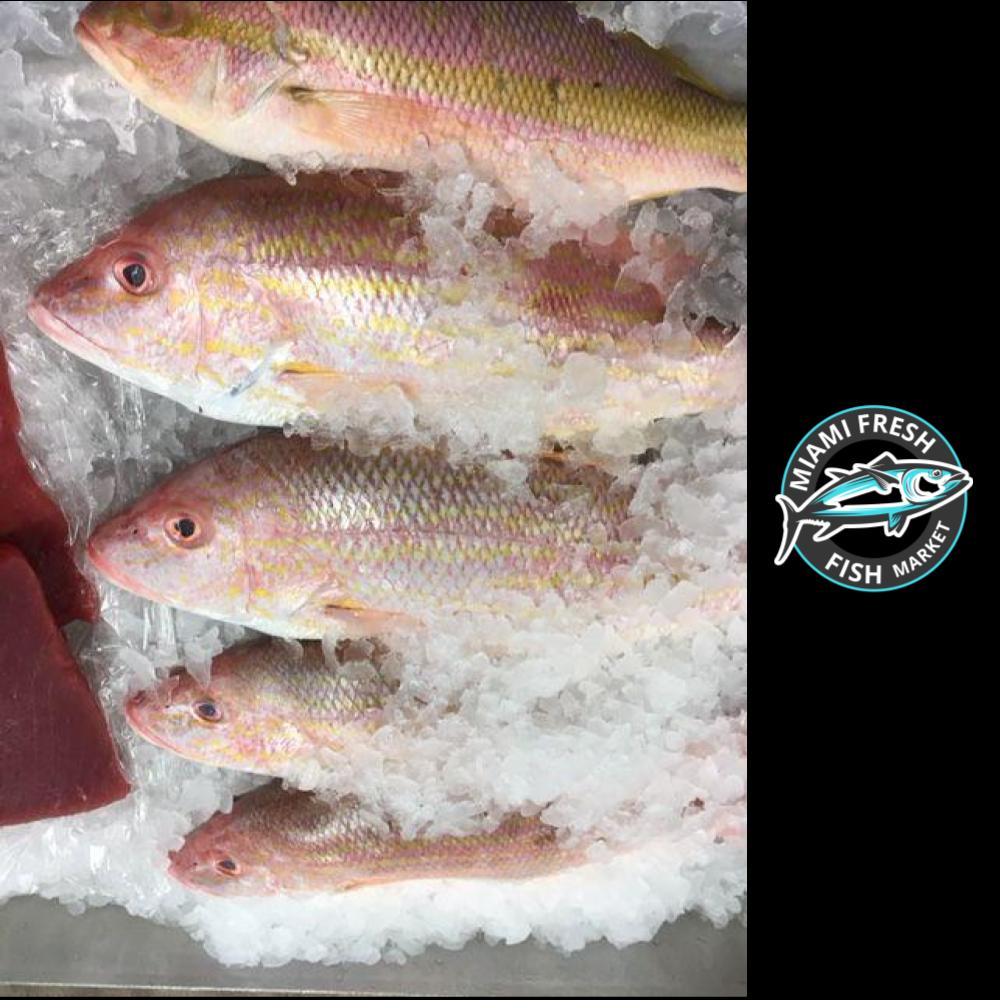 Fresh Whole Yellowtail Snapper – Peter's Florida Seafood