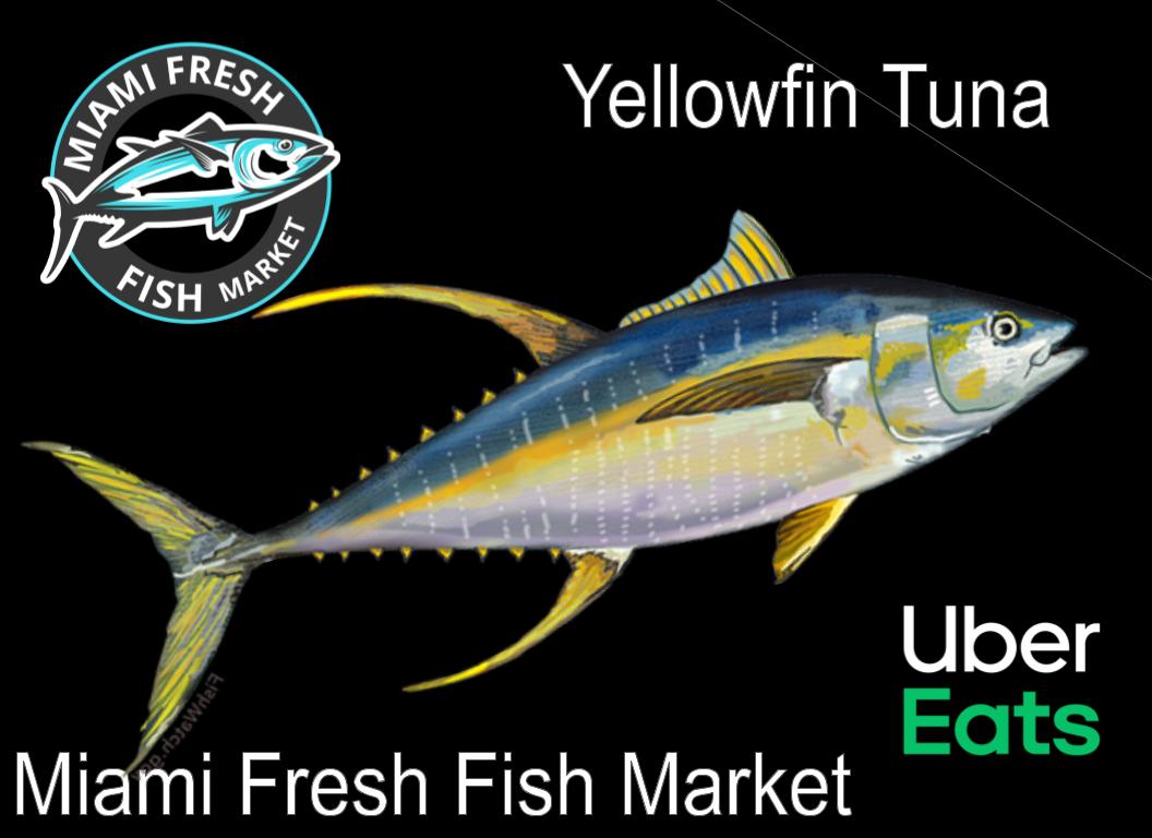 Yellowfin Tuna for Sushi Grade or Fillet