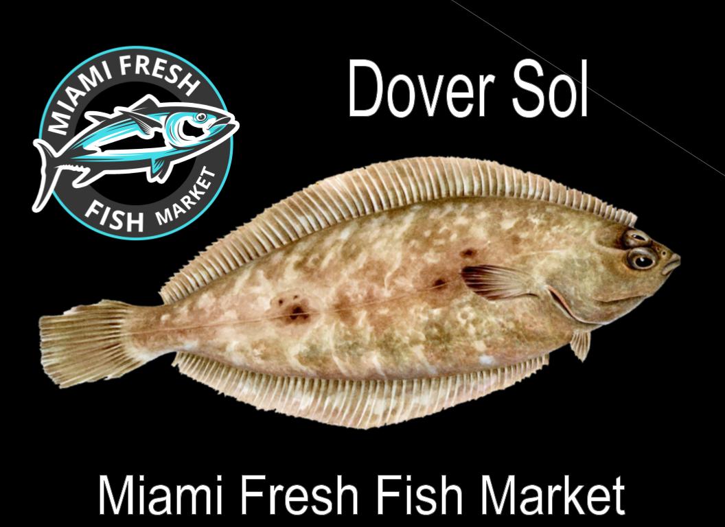 Dover Sole Fish | Whole Fish or Fillet Per Pound