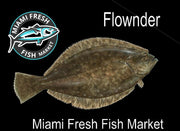 Flounder Fresh Fish Fillet Per Pound