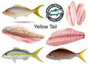 Yellowtail Snapper | Whole or Fillet - Per Pound