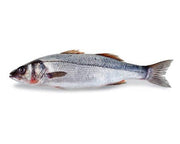 whole-fish-branzino-miami-fresh-fish-market