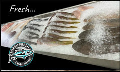 Flounder Fresh Fish | Fillet Per Pound